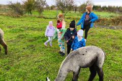 WYCIECZKA DO BOBOLINA